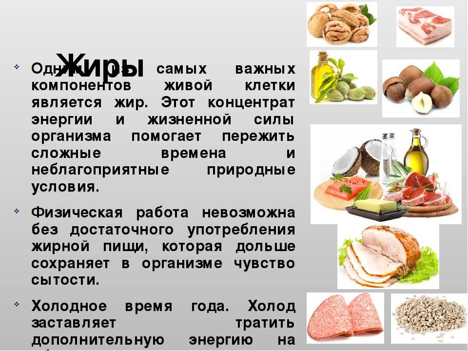 Что относится к жирным продуктам. жиры и жирная пища