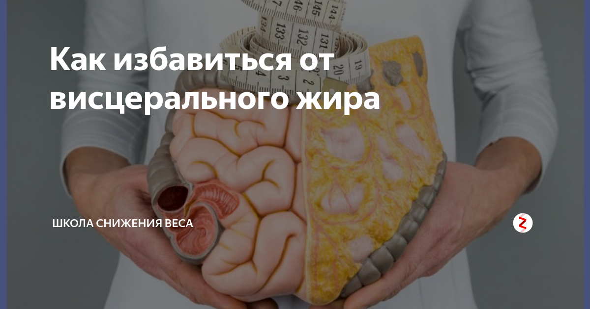 Кардио тренировка для сжигания жира: упражнения, видео, что можно есть после занятий