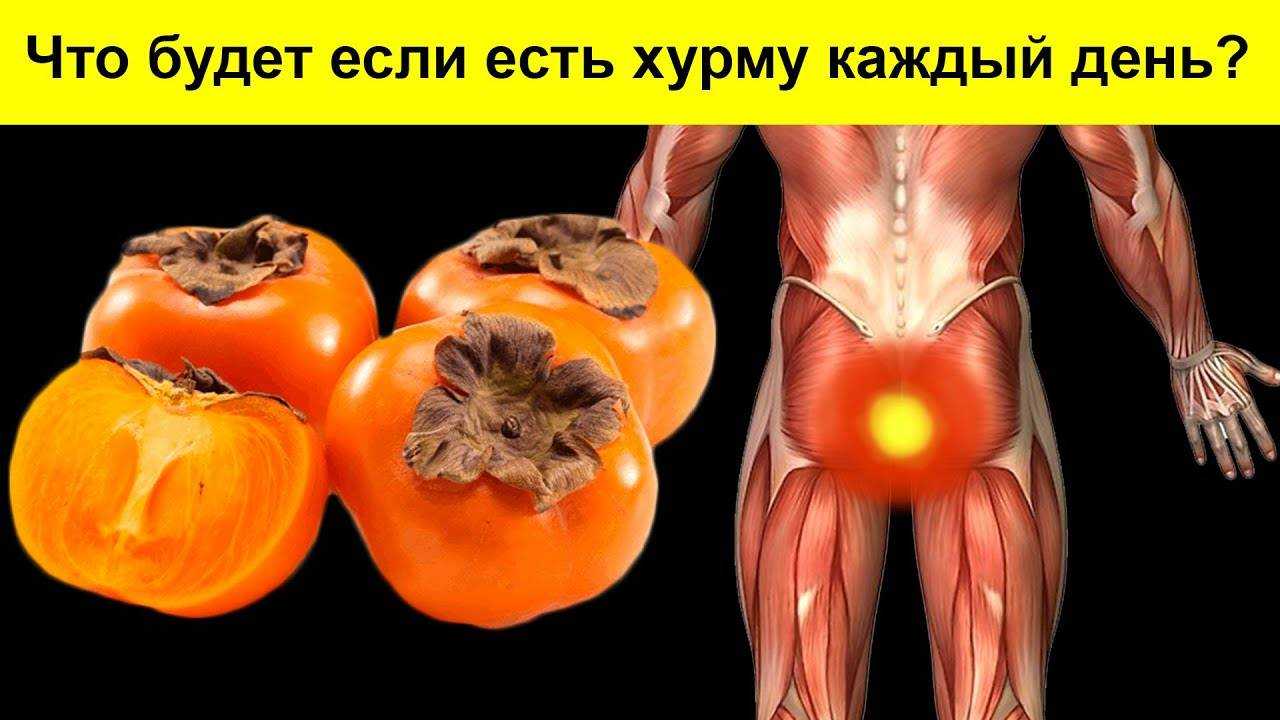 Полезные свойства хурмы и ее потенциальный вред