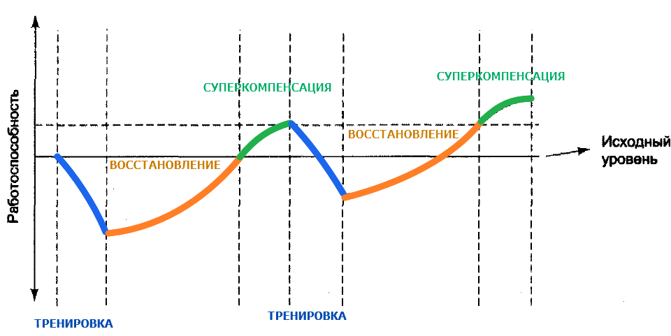 Что такое суперкомпенсация - "марафонец"