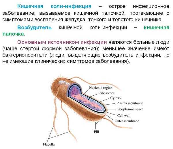 Чему следует избегать в составе мороженого