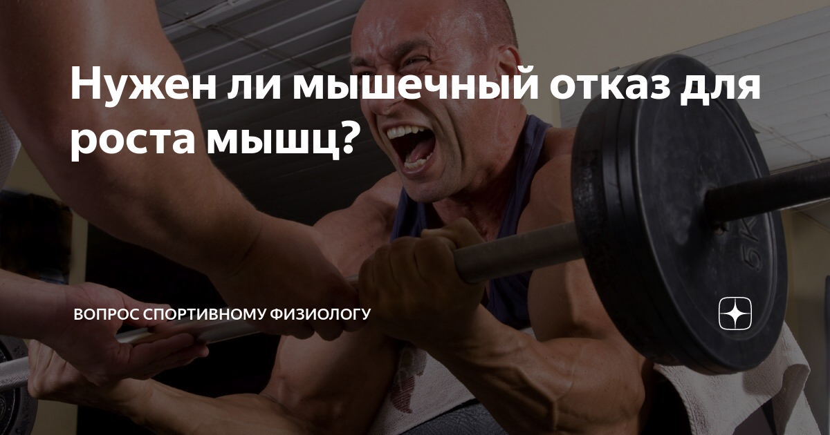 Что можно и нужно есть после тренировки в тренажерном зале