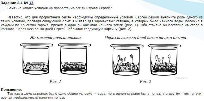 Эксперимент 1975 года — последствия долгосрочного питания только рисом