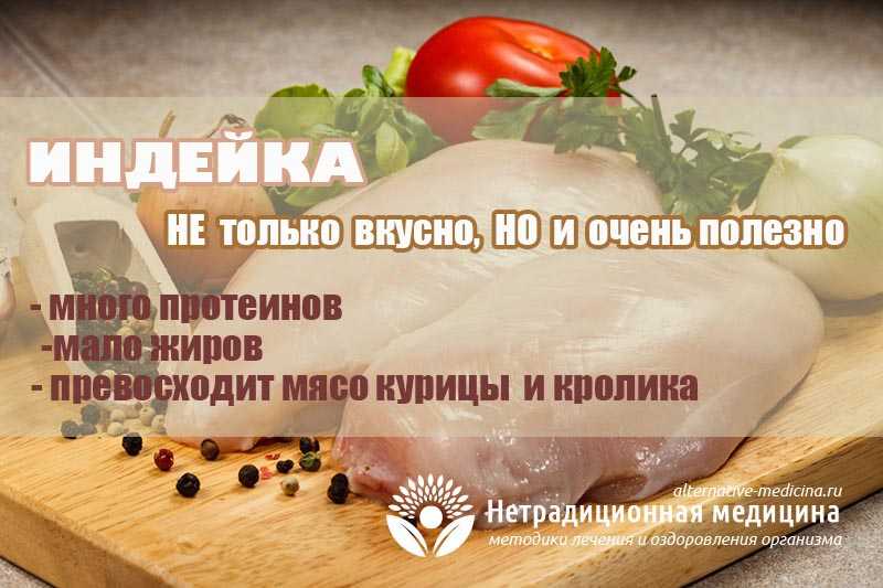 Мясо индейки: полезные свойства в питании