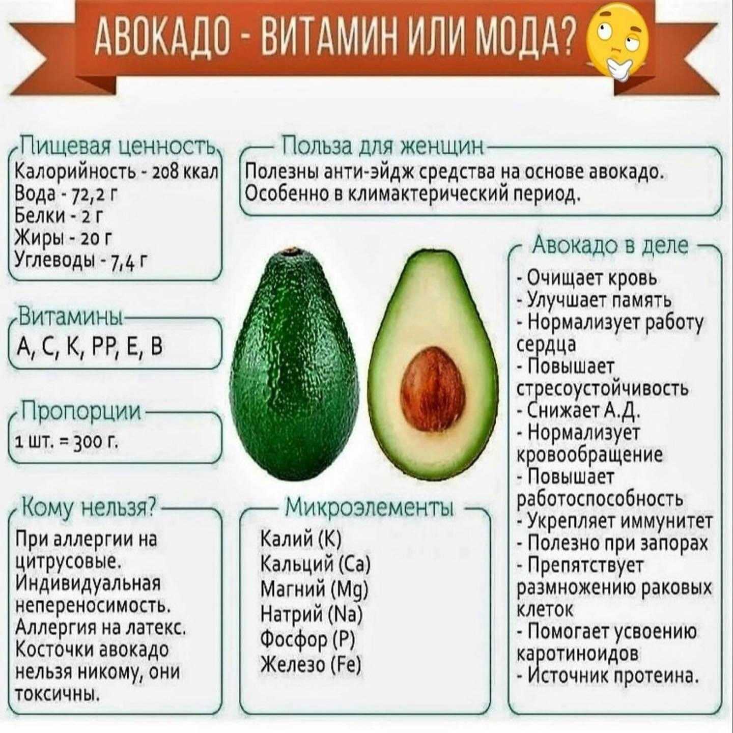 Авокадо: польза и вред для организма женщин и мужчин, как его едят