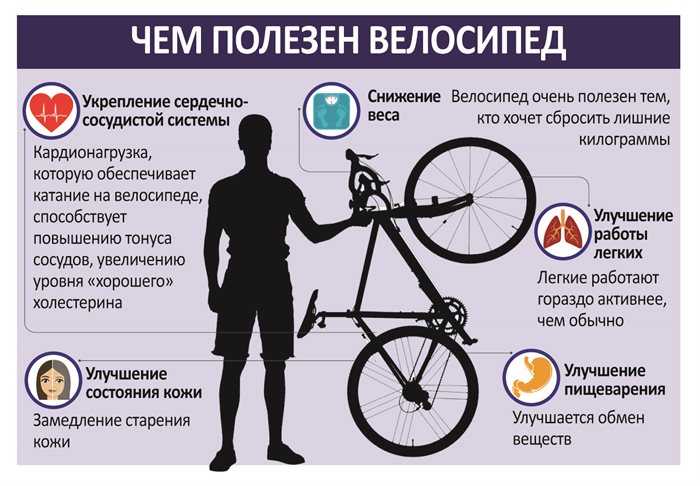 Польза велосипеда для здоровья мужчин и женщин, на какие системы организма влияет езда на нём