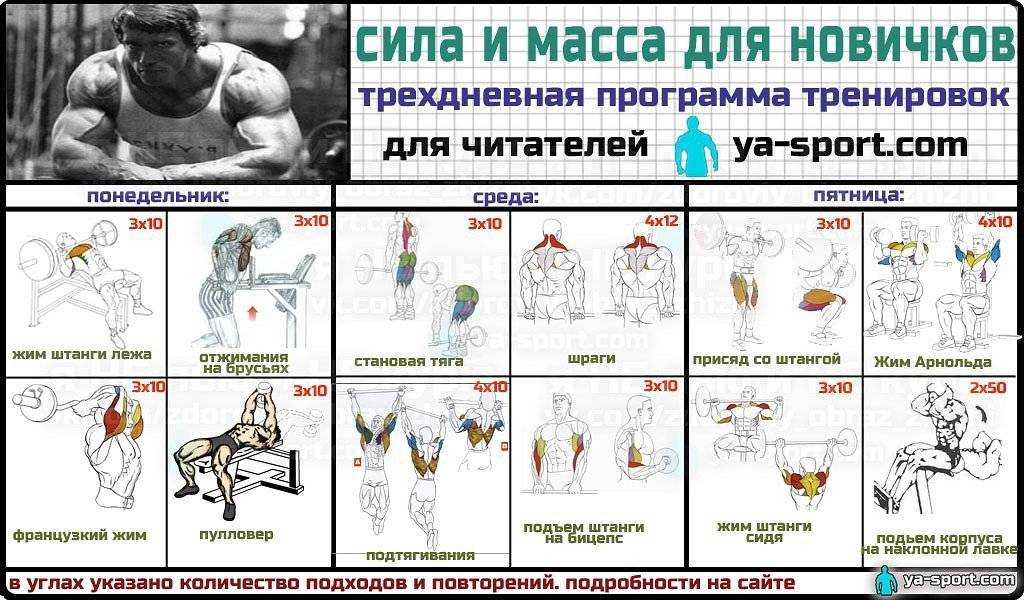 15 лучших упражнений для домашней тренировки