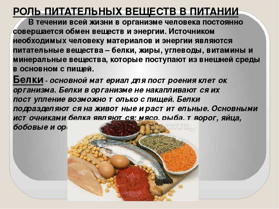 Пищевая ловушка: жиры с углеводами — катастрофическая комбинация!