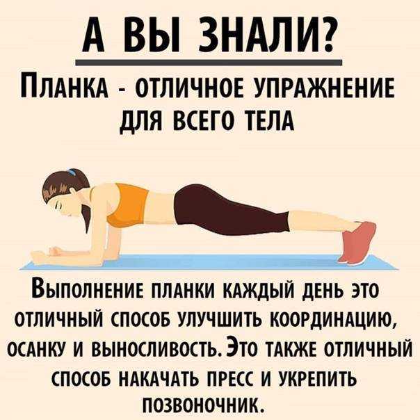 Упражнение планка для начинающих – правила и график выполнения