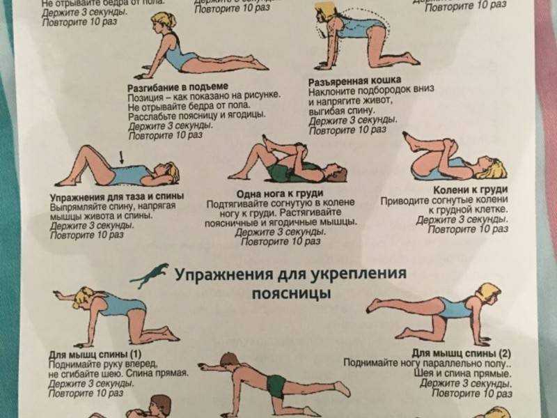 Лучшие упражнения для мышц спины: базовые, со штангой, на мяче и тренажерах
