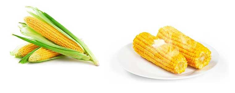 Польза вареной кукурузы