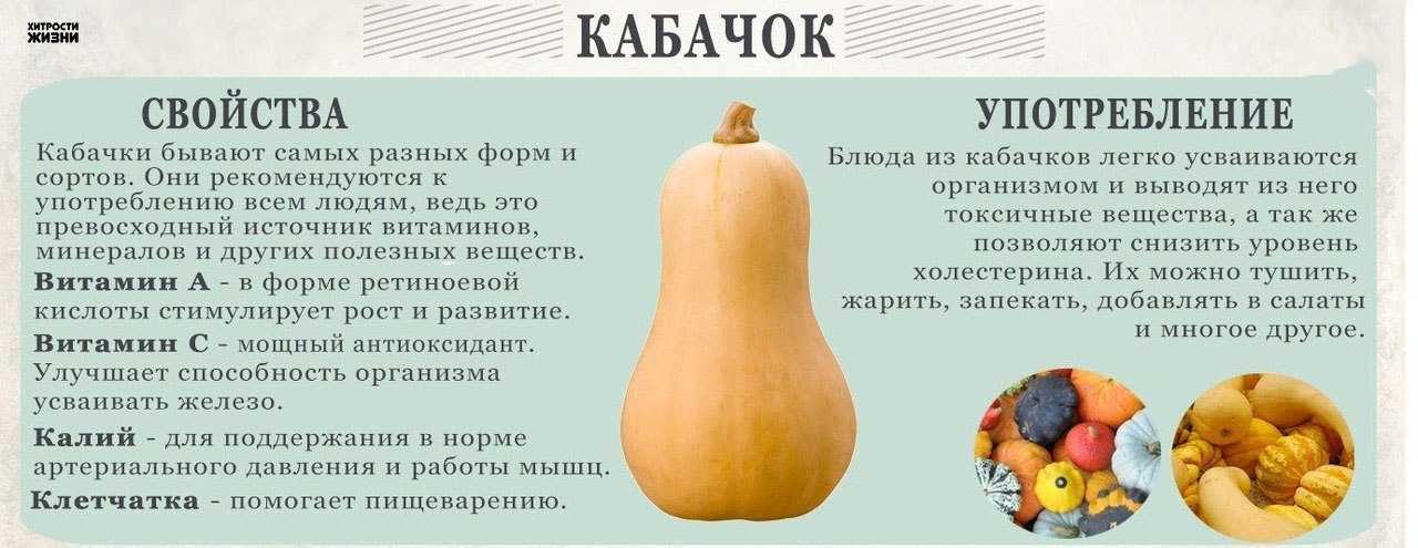 О пользе и калорийности кабачков. полезные свойства и противопоказания