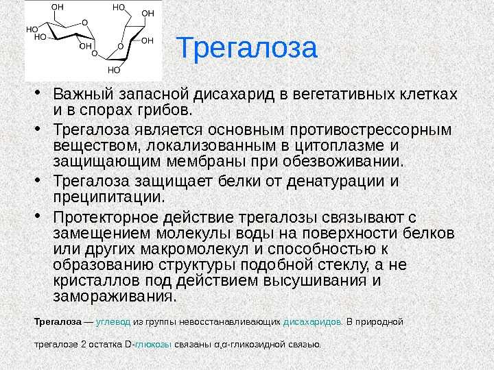 Вред сахара для организма человека. научные исследования - promusculus.ru
вред сахара для организма человека. научные исследования - promusculus.ru