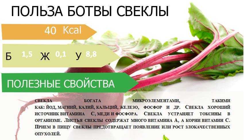 Какая свекла полезнее сырая или вареная? | польза и вред