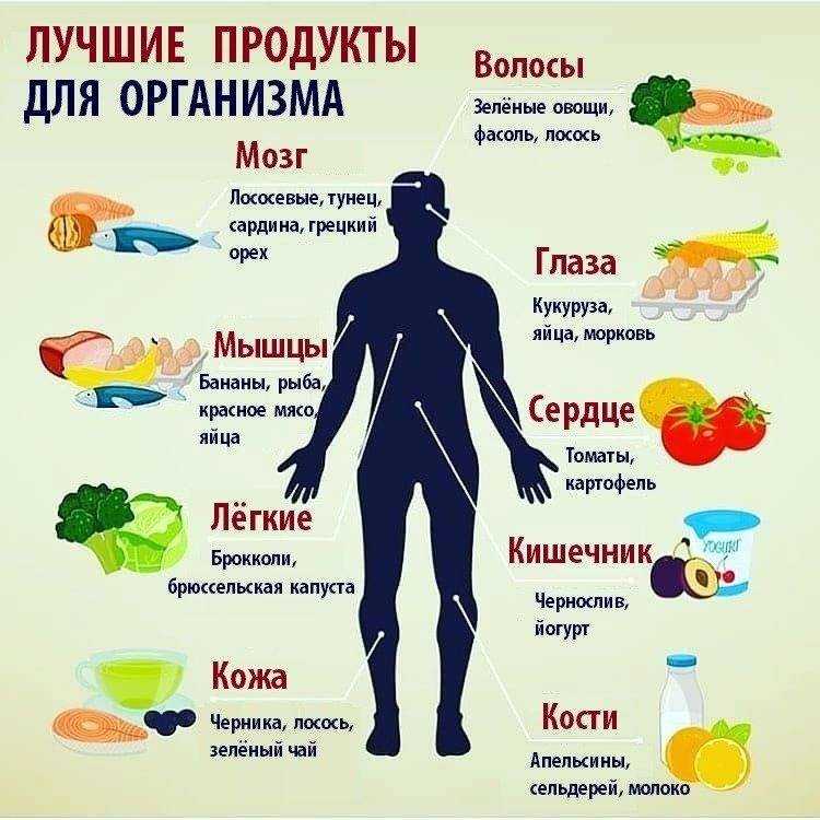 Самые полезные продукты для питания ? — топ-12 лучших продуктов для зрения, сердца и иммунитета