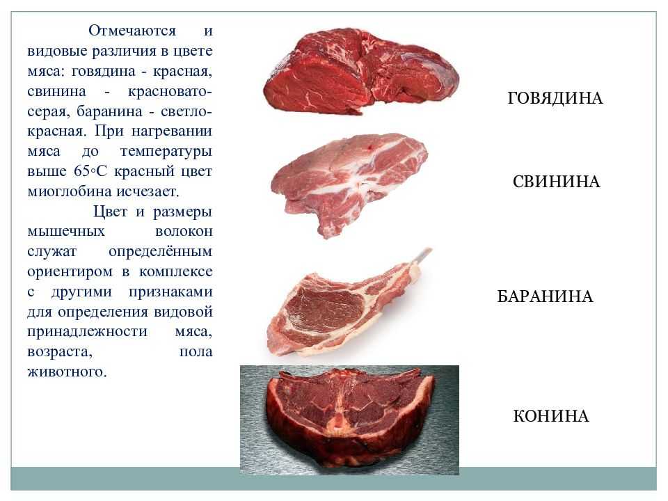 Какое мясо самое полезное: свинина, говядина, баранина или конина? пищевые качества самого полезного мяса - автор екатерина данилова - журнал женское мнение