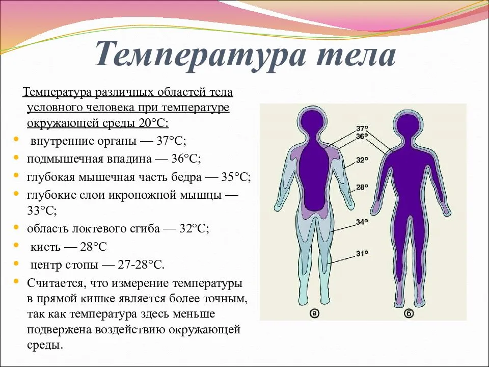 Почему в мышцах появляется сильная боль на второй день после тренировки