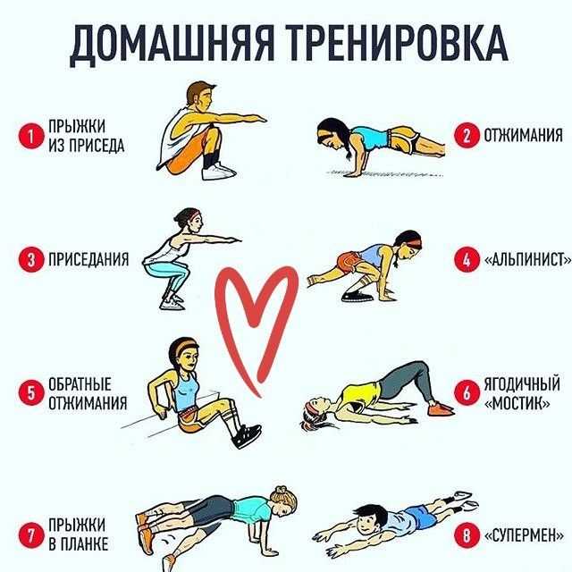 Программа тренировок на рельеф: комплексы для мужчин и девушек для дома и зала