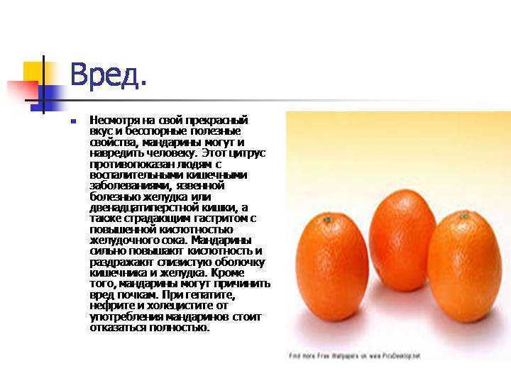 Польза мандаринов для женского и мужского здоровья Как похудеть на цитрусовой диете способны ли плоды принести вред для здоровья