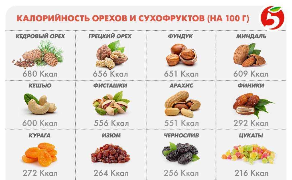 Сколько орехов можно съедать в день: какие полезны при похудении и лучше для диеты, а также фото порции в штуках с калорийностью