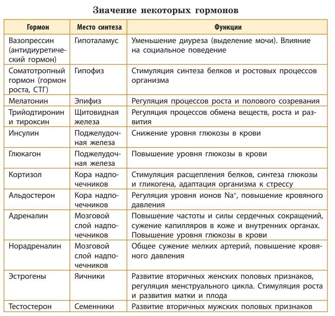 Гормональное ожирение: как гормоны влияют на вес человека * клиника диана в санкт-петербурге