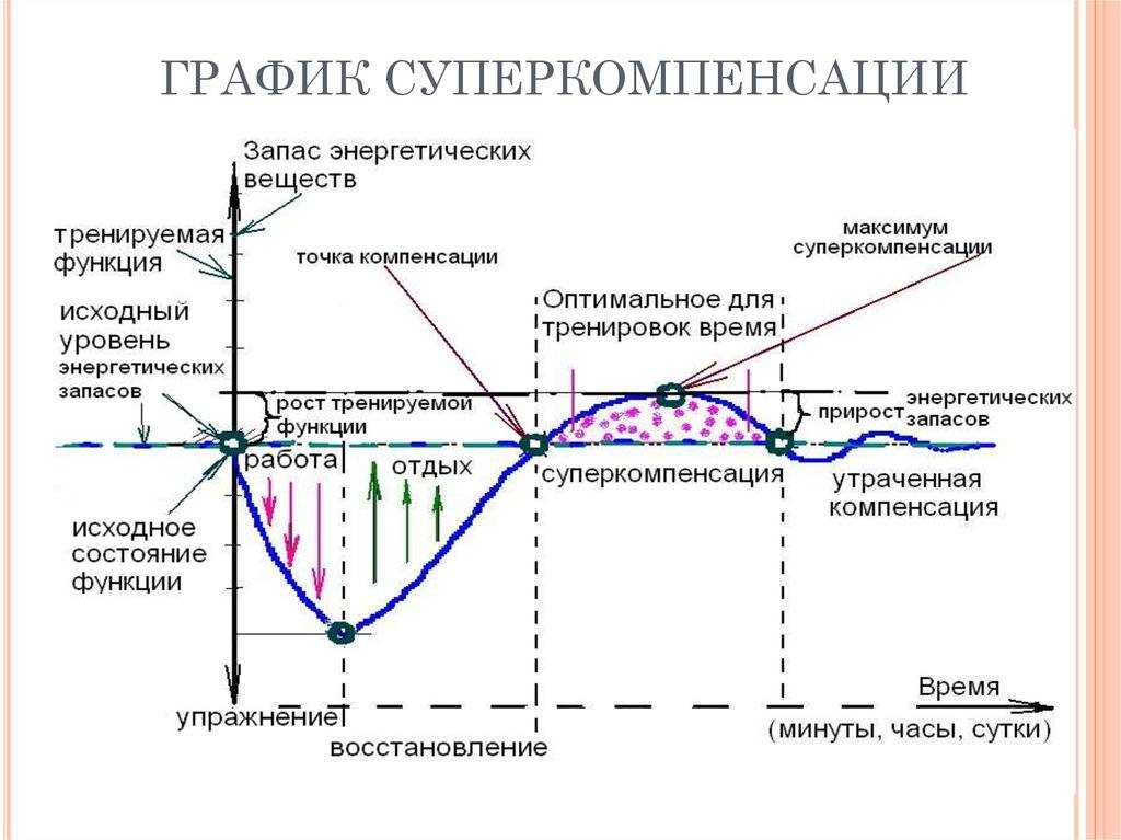 Феномен суперкомпенсации, или какой тип перетренированности дает новый рост результатов. фаза суперкомпенсации. сверх восстановление