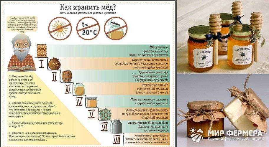 Полезные свойства меда: какие болезни он лечит и как правильно его принимать