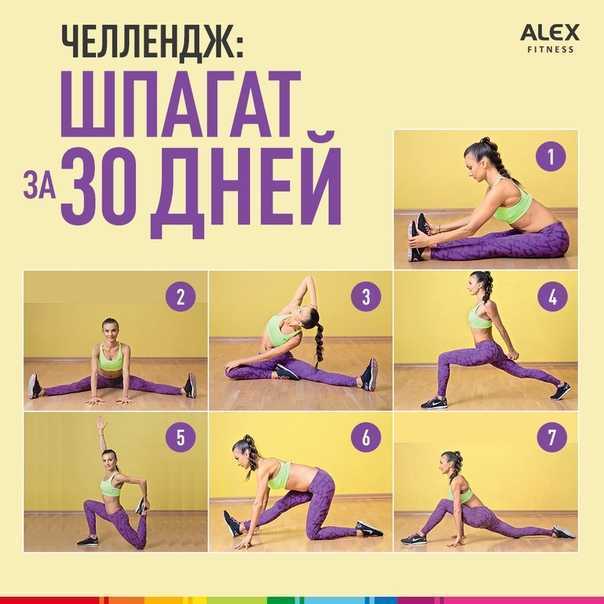 Как я села на шпагат учитывая что последние занятия фитнесом я прекратила 2 года назад а моя работа связана с сидением перед компьютером 8 часов в сутки Рассмотрим личный опыт