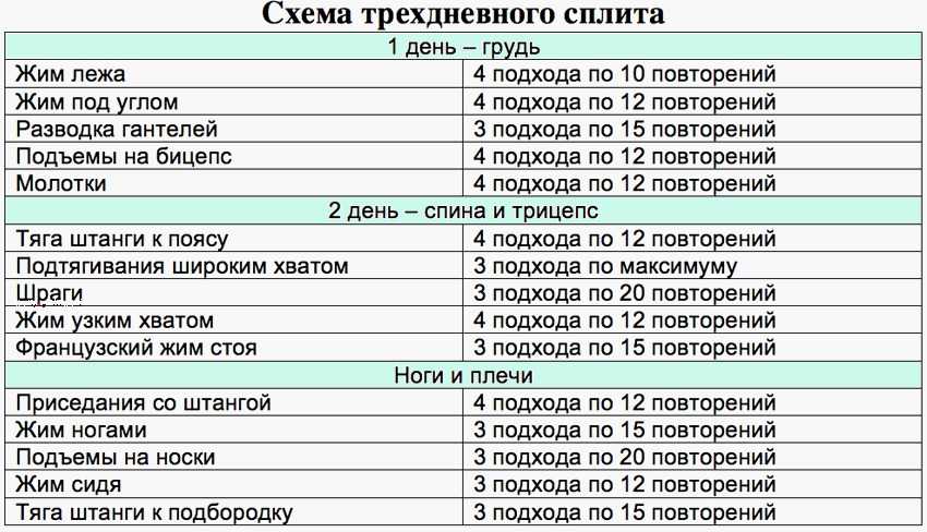 C чего начать тренировку в тренажерном зале женщине? - бодибилдинг и фитнес для мужчин и женщин