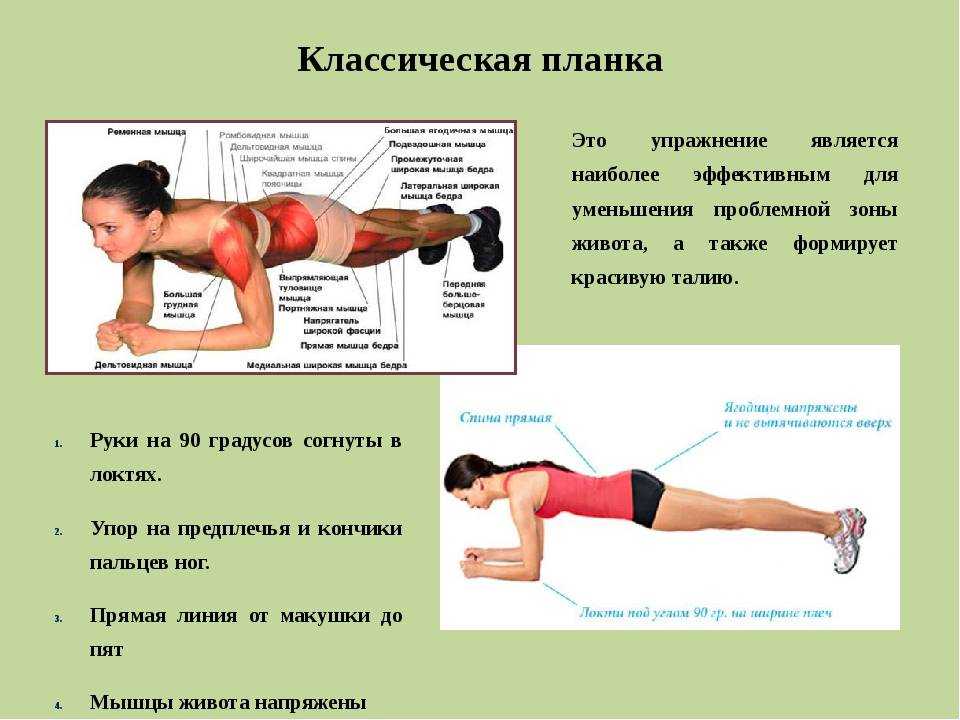 Виды планки и техника выполнения