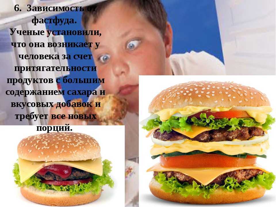 Почему мы переедаем? объяснение врача и 3 проверенных способа есть меньше - блог издательства «манн, иванов и фербер»