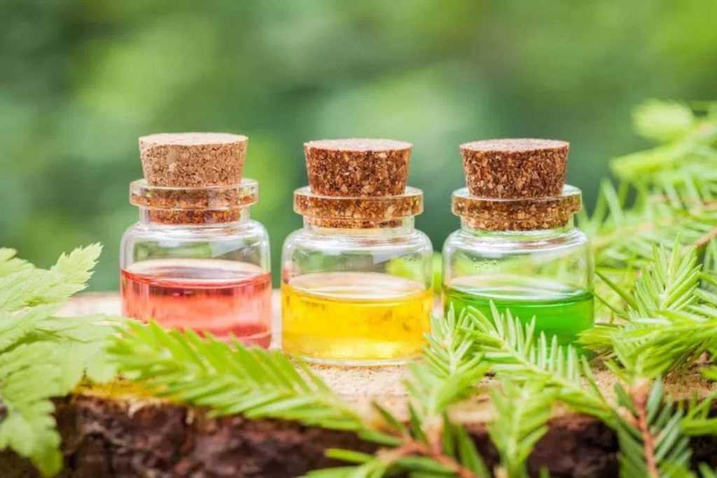 Самые эффективные масла для похудения: снижаем вес естественным способом
