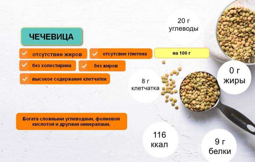Чечевица - полезные свойства, состав и противопоказания (+ 17 фото)