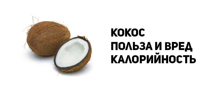 Польза кокоса для организма человека, отдельно для мужчин и женщин, можно ли при беременности и грудном вскармливании, а также противопоказания, аллергия и вред