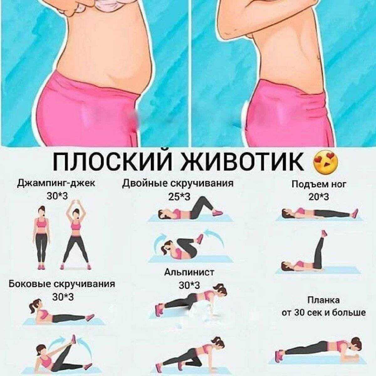 Как накачать пресс ✔ анатомия брюшных мышц и лучшие упражнения