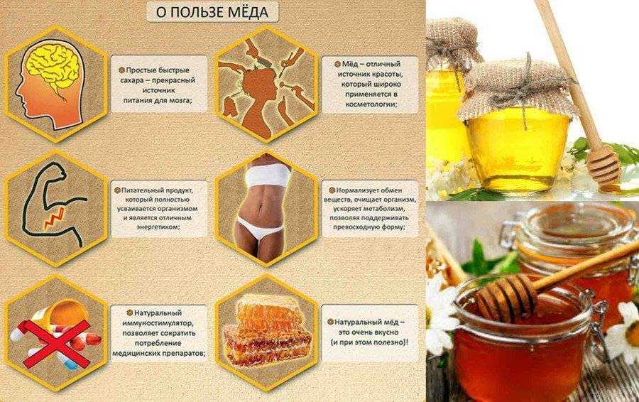 Цветочный мёд - omvesti.com