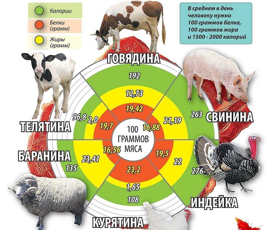 Самое полезное мясо