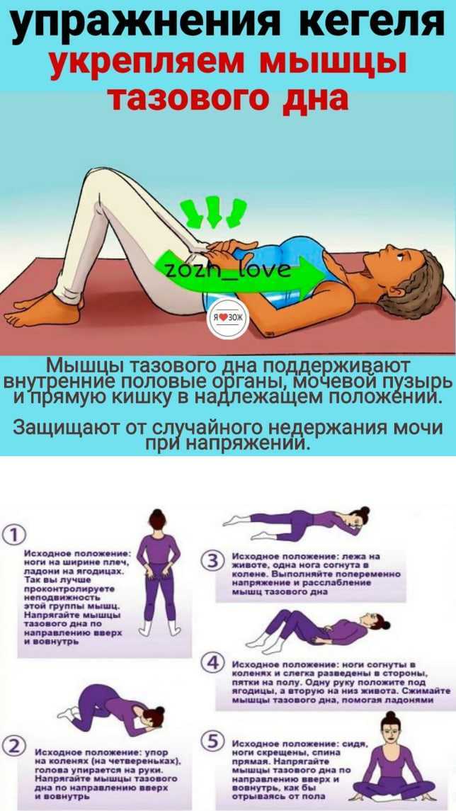 Уроки для самостоятельной тренировки интимных мышц