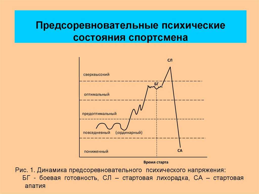 Силовые тренировки