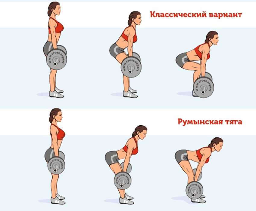 10 занимательных фактов о пользе тренировок с подъемом тяжестей