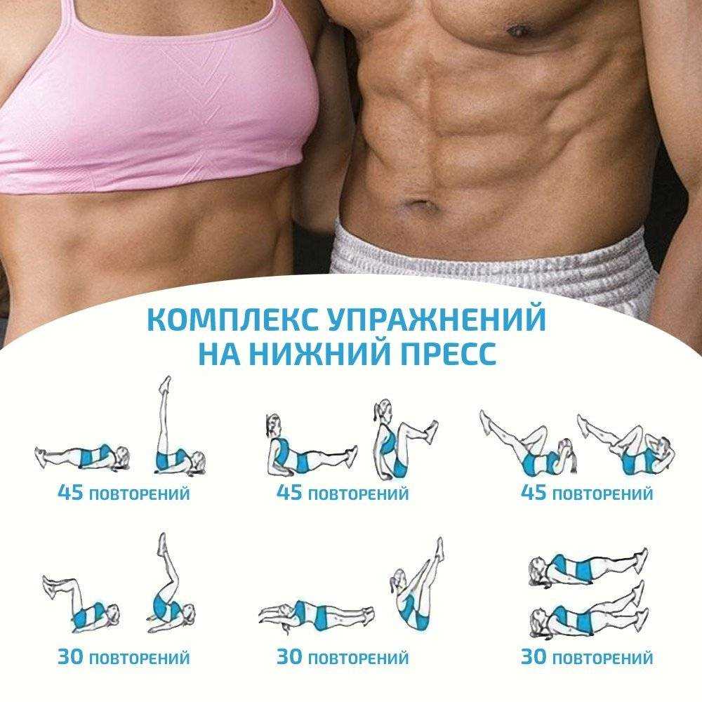 Лучшие упражнения для нижнего пресса (топ для девушек)
