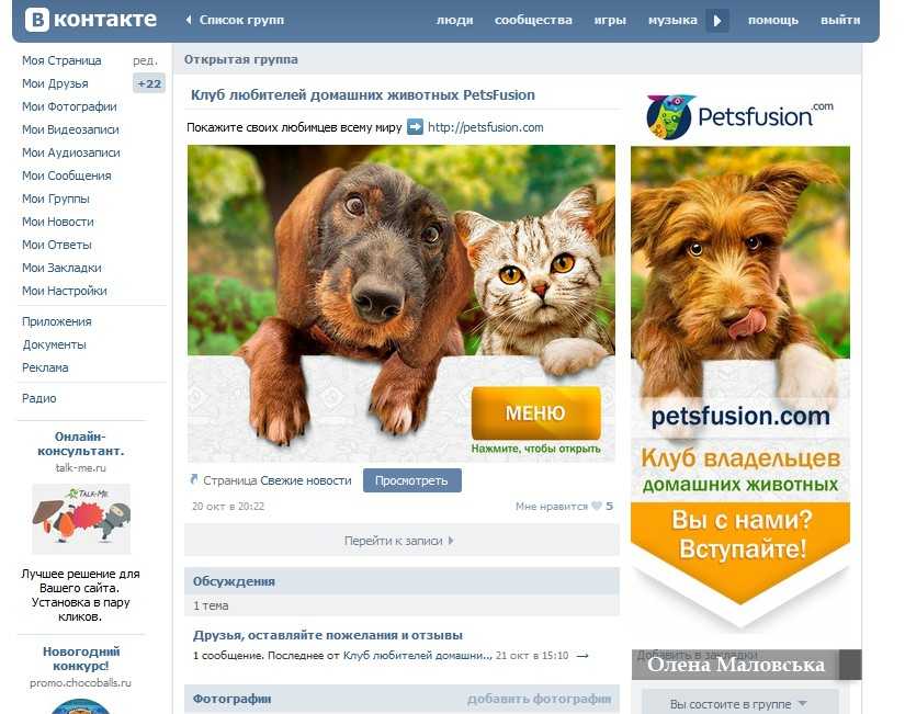 Питомцы mail.ru и purina научат детей заботиться о любимцах - культура, отдых, спорт  - новости - молнет.ru