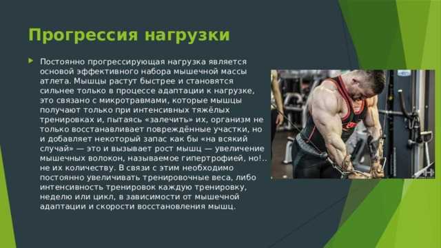 Высокоинтенсивная круговая тренировка с собственным весом: максимальный результат при минимальных вложениях | fpa