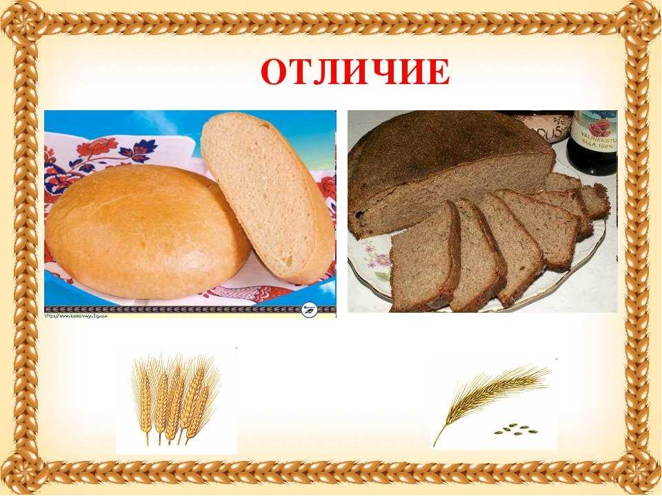Хлеб: польза и вред для организма человека