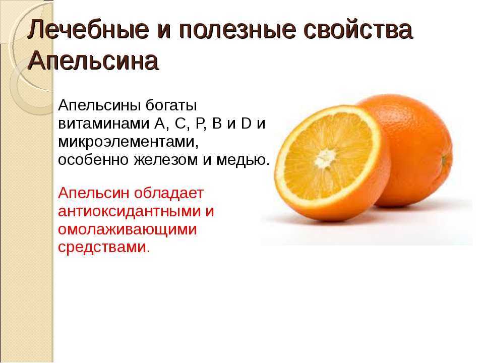 Польза апельсина для организма человека, есть ли вред
