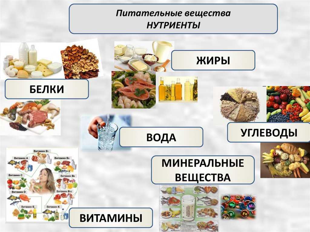 Новосибирцам рассказали об опасности чая с бутербродом