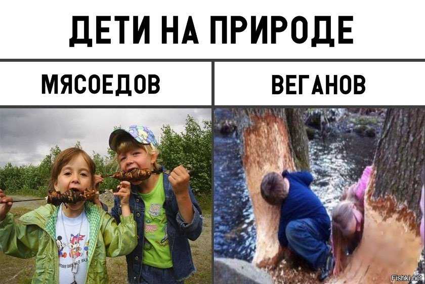 Веганство и вегетарианство: польза и вред по мнению гастроэнтерола / блог / клиника эксперт