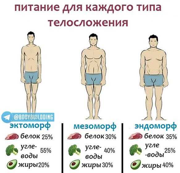 Программа тренировок на массу для натуралов бодибилдеров