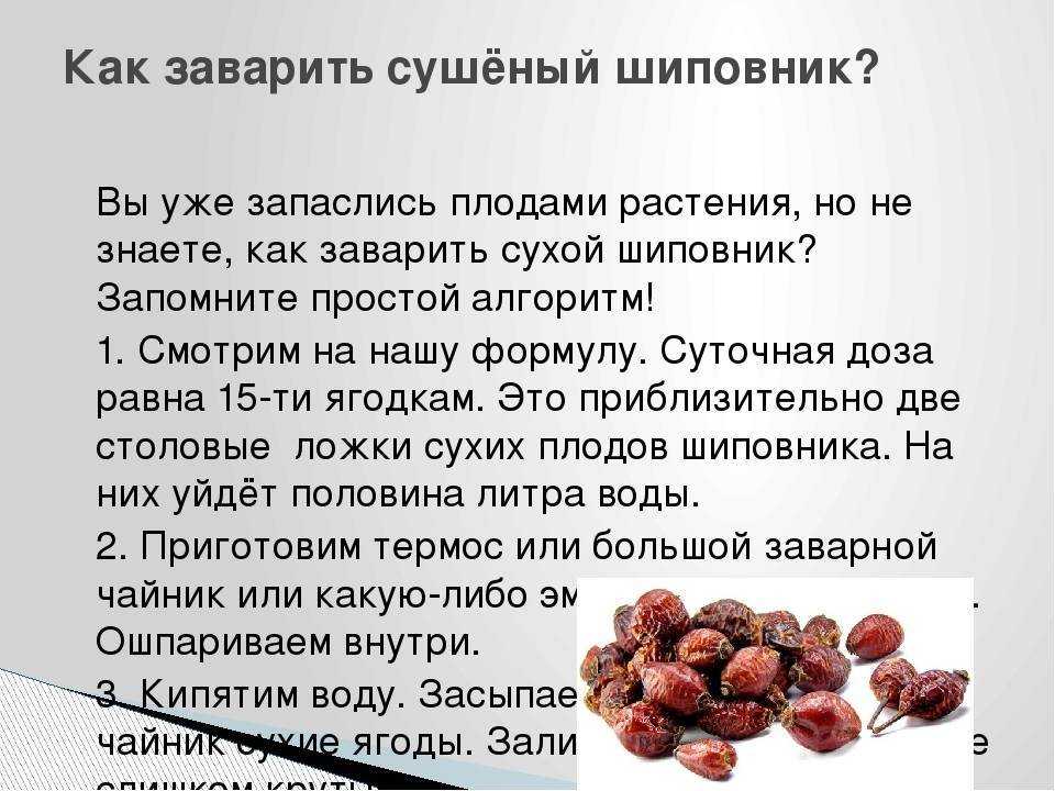 Чай из шиповника: полезные свойства и противопоказания, как заваривать, с чем сочетается