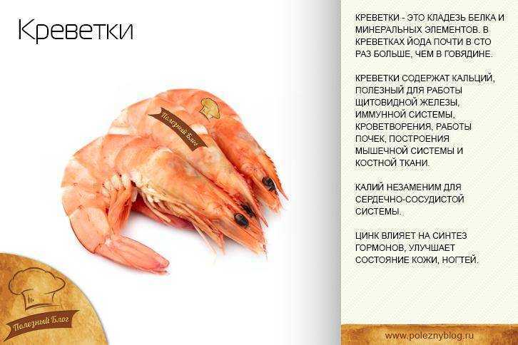 Креветки – кому они полезны, а кому вредны, как их правильно выбирать? калорийность креветок, их ценность, польза и вред для организма - автор екатерина данилова - журнал женское мнение